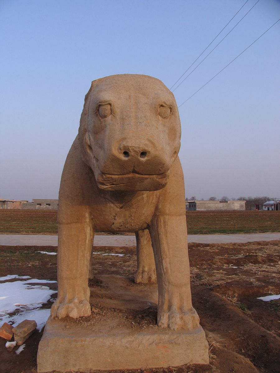 陕西省自强中等专业学校地址在哪里怎么走乘车路线