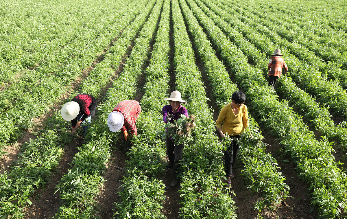 十堰艺术学校2021年招生简章 - 报名条件、时间、专业