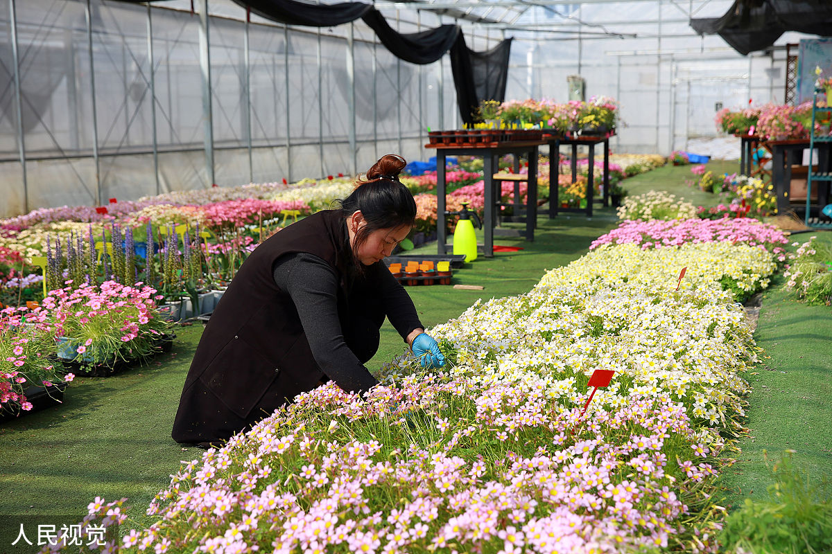 曲阜职业中专园林与花卉专业怎么样