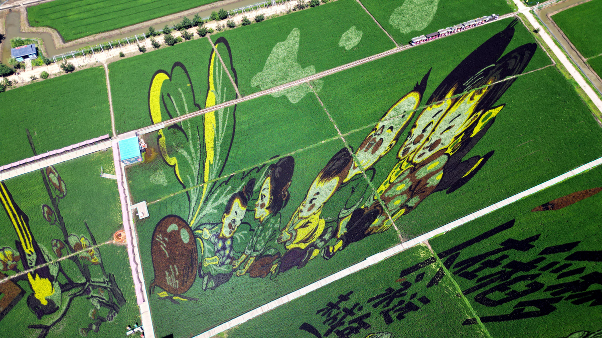 中国小众发财赛道：潜力与机遇