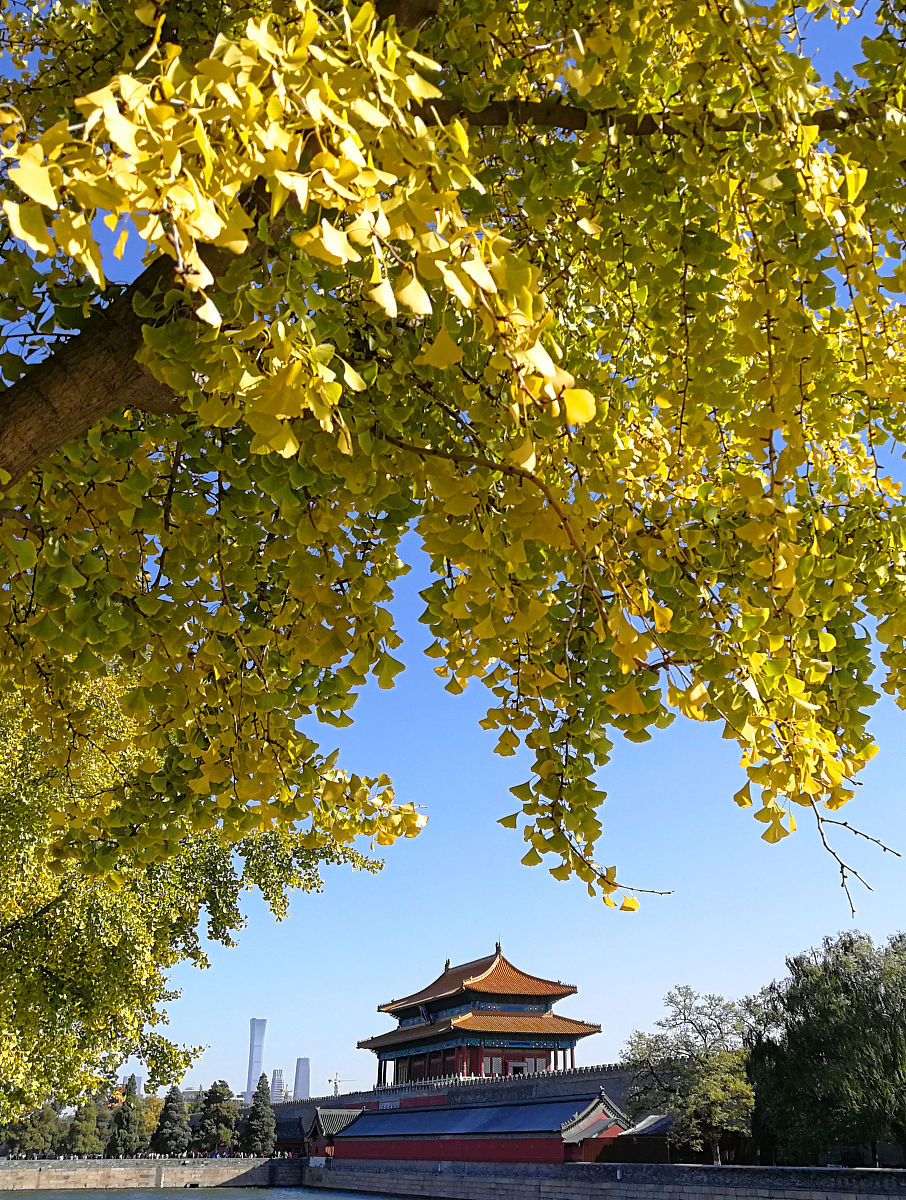 成都3+2有那些正规学校