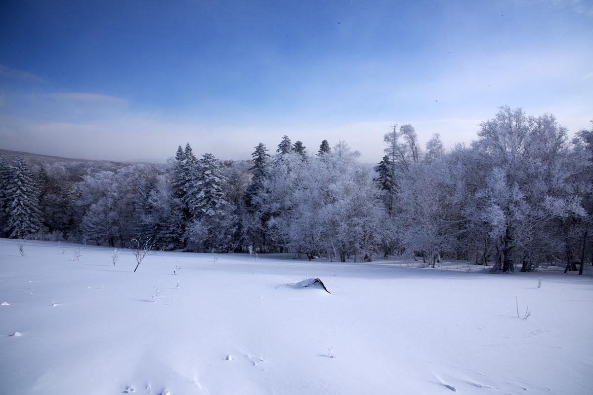 请你谈谈对绿水青山就是金山银山这句话的理解。