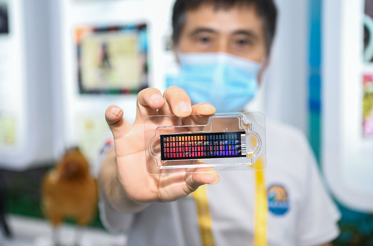 医生治疗选择变异性的评估和量化