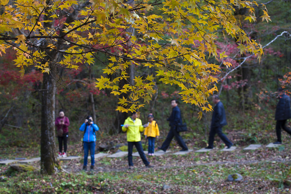 秋意盎然：一次难忘的秋游之旅
