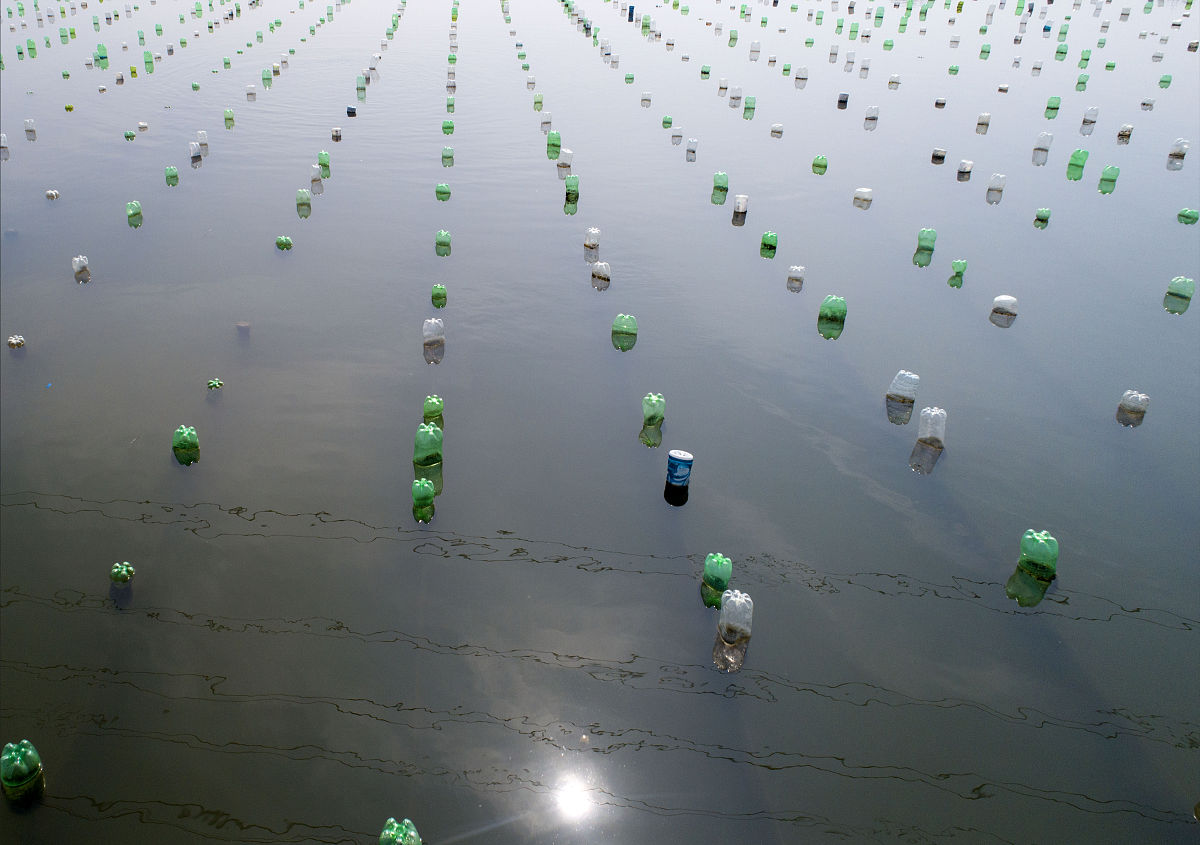 基于网衣密实度和风渔融合养殖平台的水动力数值模拟研究