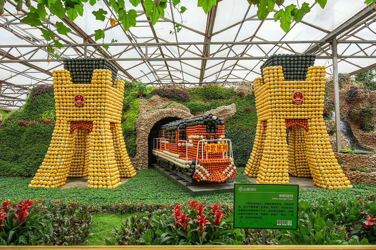 潍坊菜博会：精彩活动不容错过！