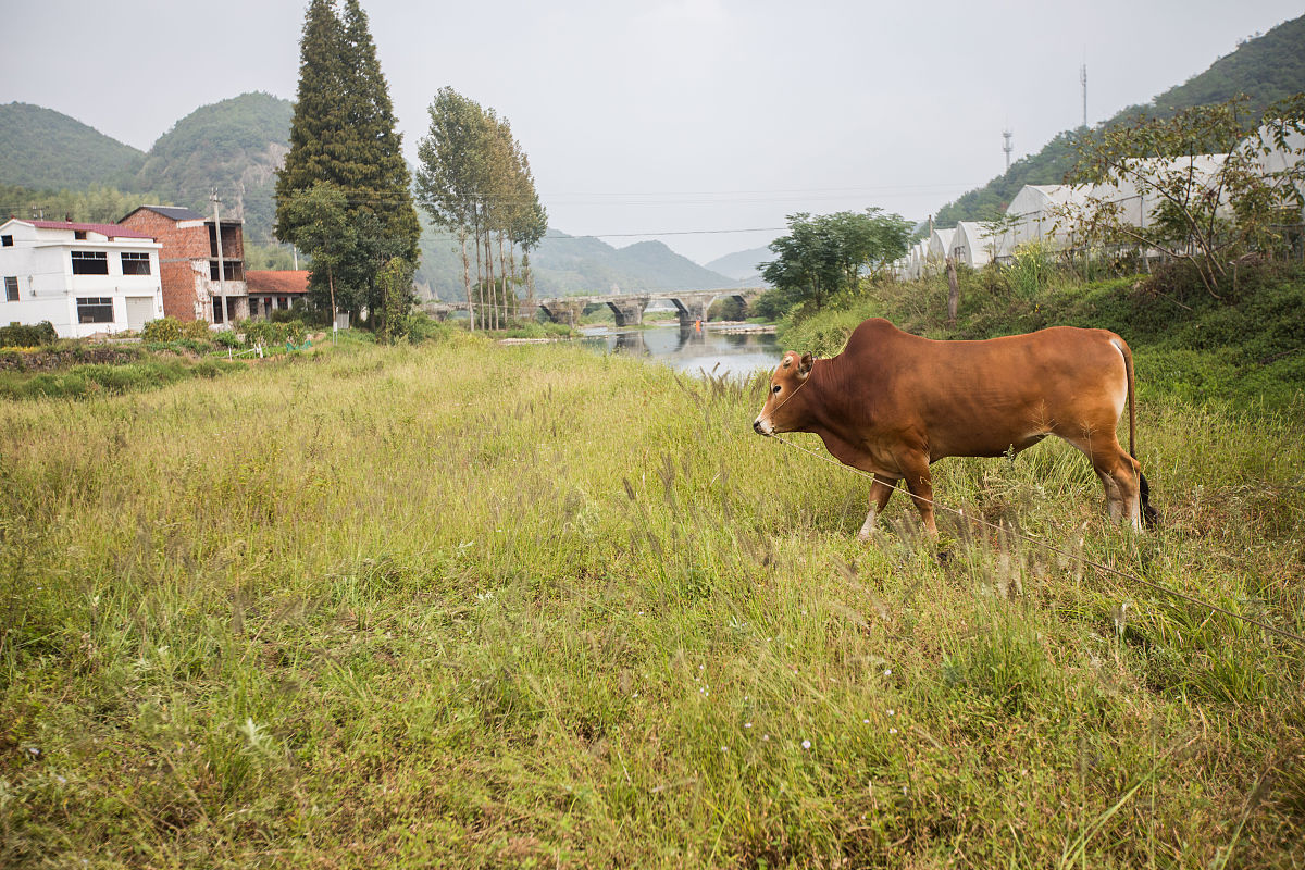 铜川中专学校学什么好找工作用