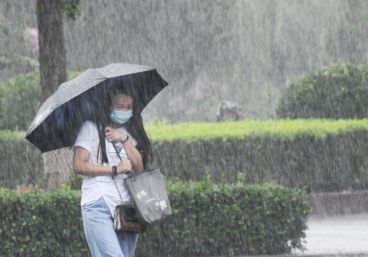 劝诫学生下雨天要带伞第一句是清明时节雨纷纷下一句诗怎么写？