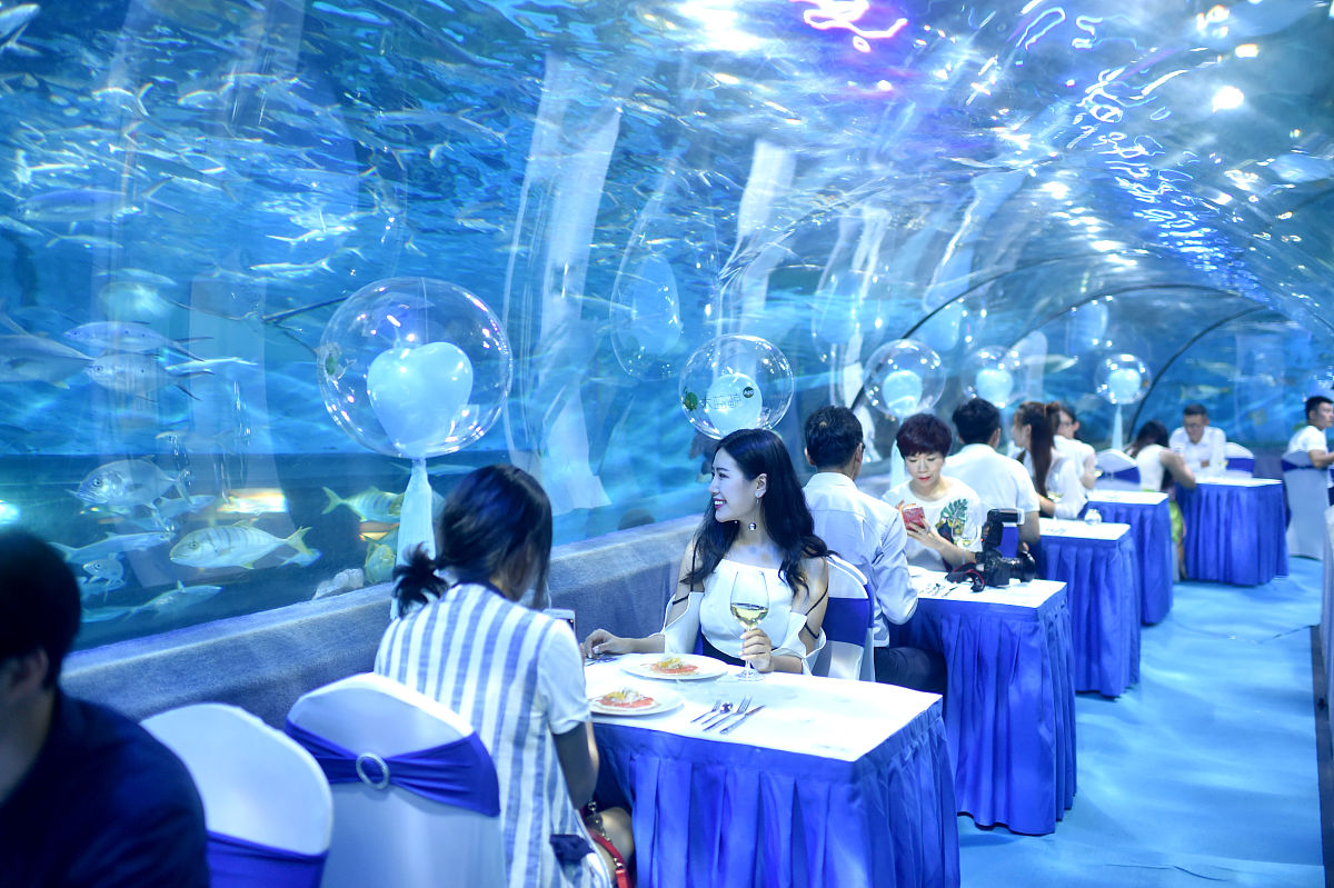 火山口海洋地质公园：浪漫海洋婚礼、海底求婚，开启你的海洋爱情之旅