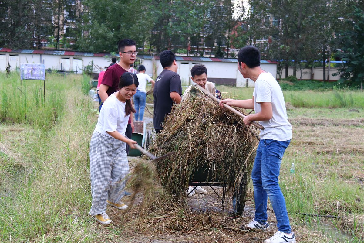 四川铁路运输学院推荐：培养铁路运输人才的优秀院校