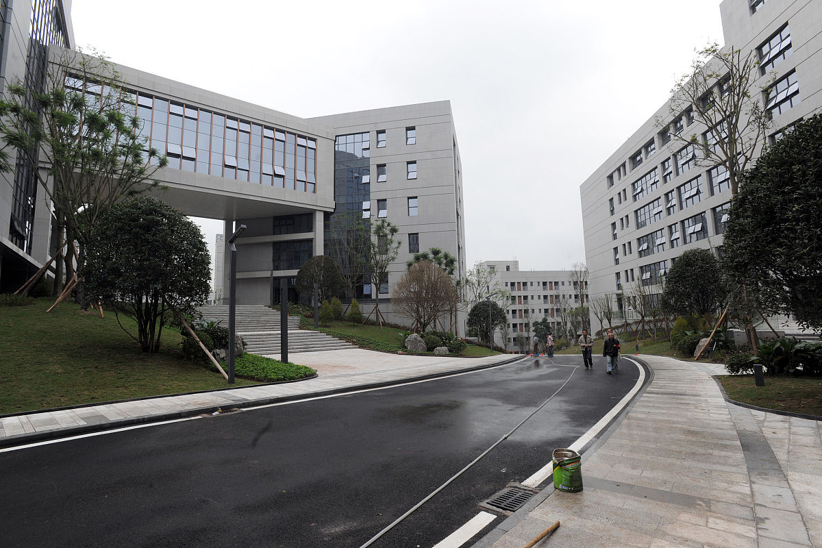 重庆市渝中职业教育中心建筑装饰专业就业方向解析 - 你的职业发展规划 重庆市渝中职业教育中心建筑装饰专业就业方向解析 - 你的职业发展规划