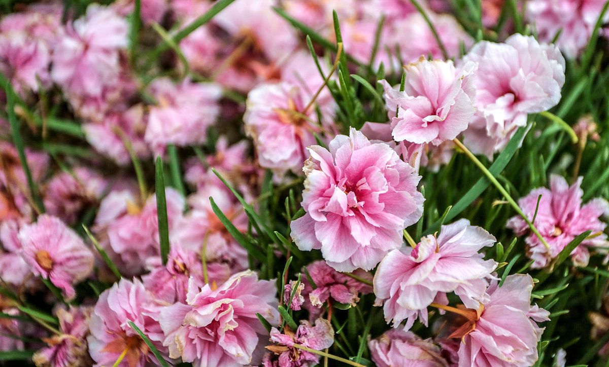 邯郸工业学校2021年招生专业：机械、电子、计算机等热门专业等你来选