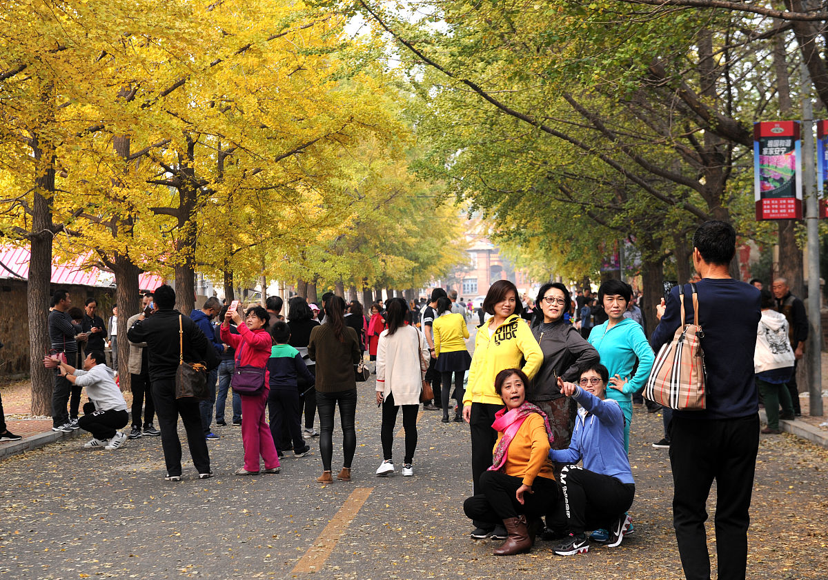 旅顺太阳沟景区旅游发展现状及对策研究报告摘要