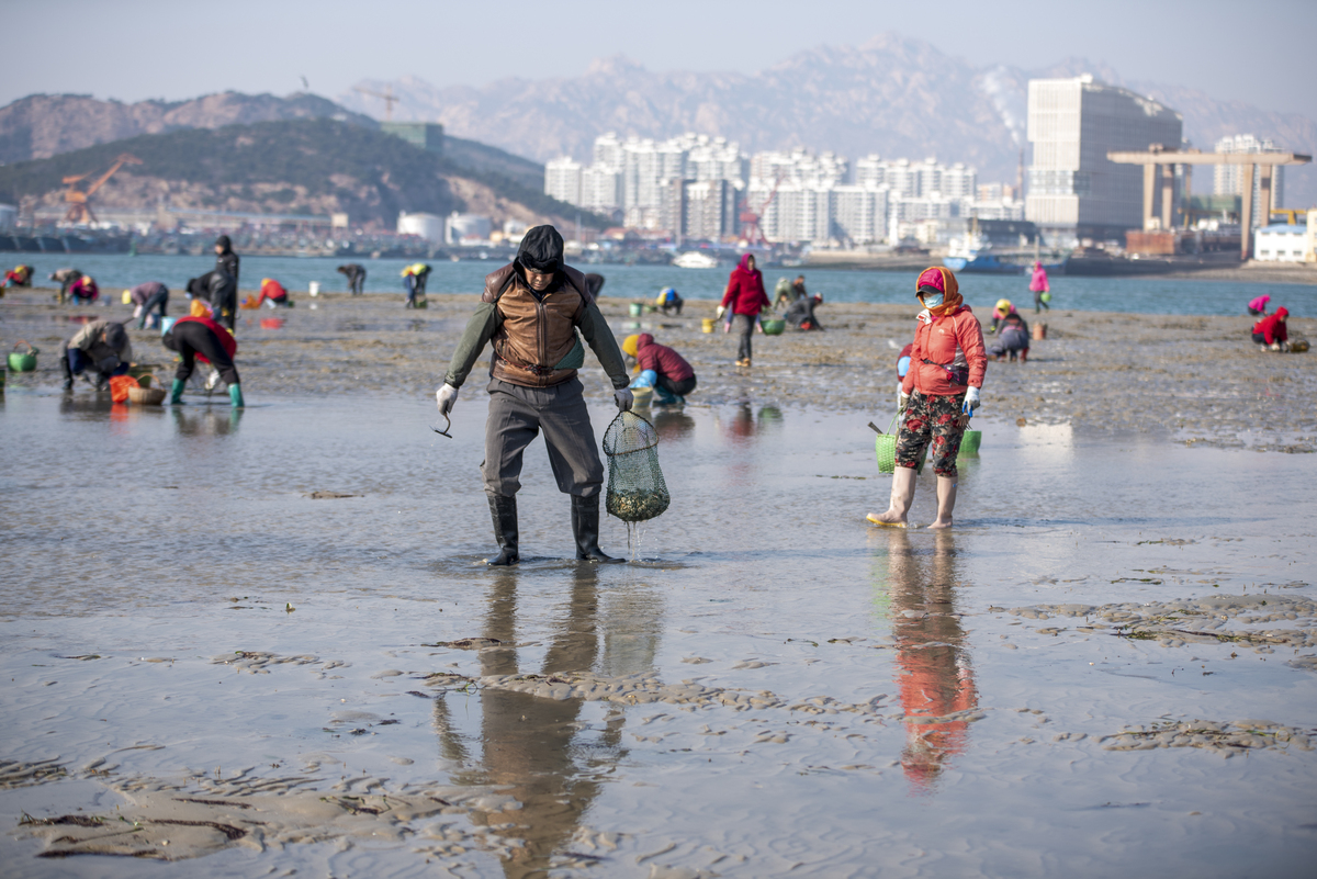 象山免费赶海攻略：最佳地点、时间和注意事项