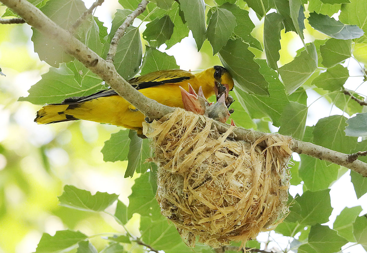 我校与韩国江原大学签署合作备忘录，深化教育交流与合作