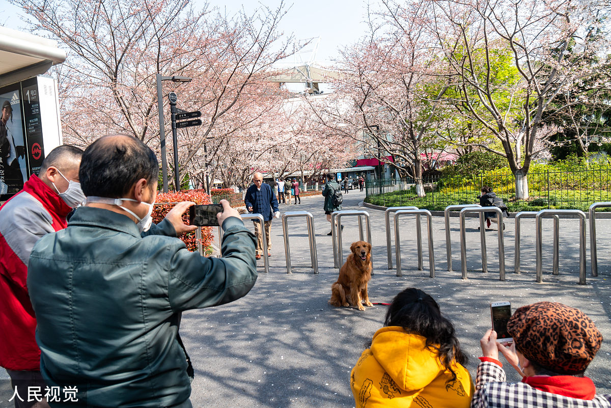 2020年2月23日,上海,有着"最美地铁口"之称的地铁8号线虹口足球场外的