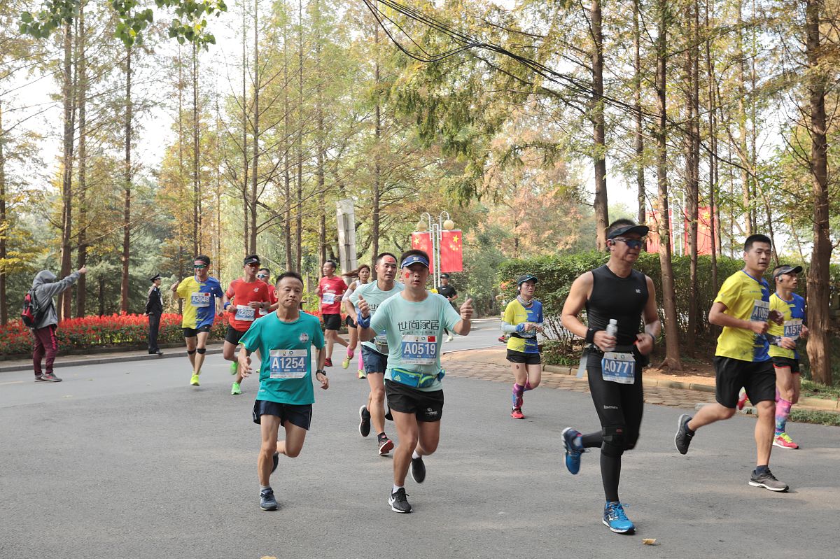 山海知我意下一句：相逢如梦，山海难忘