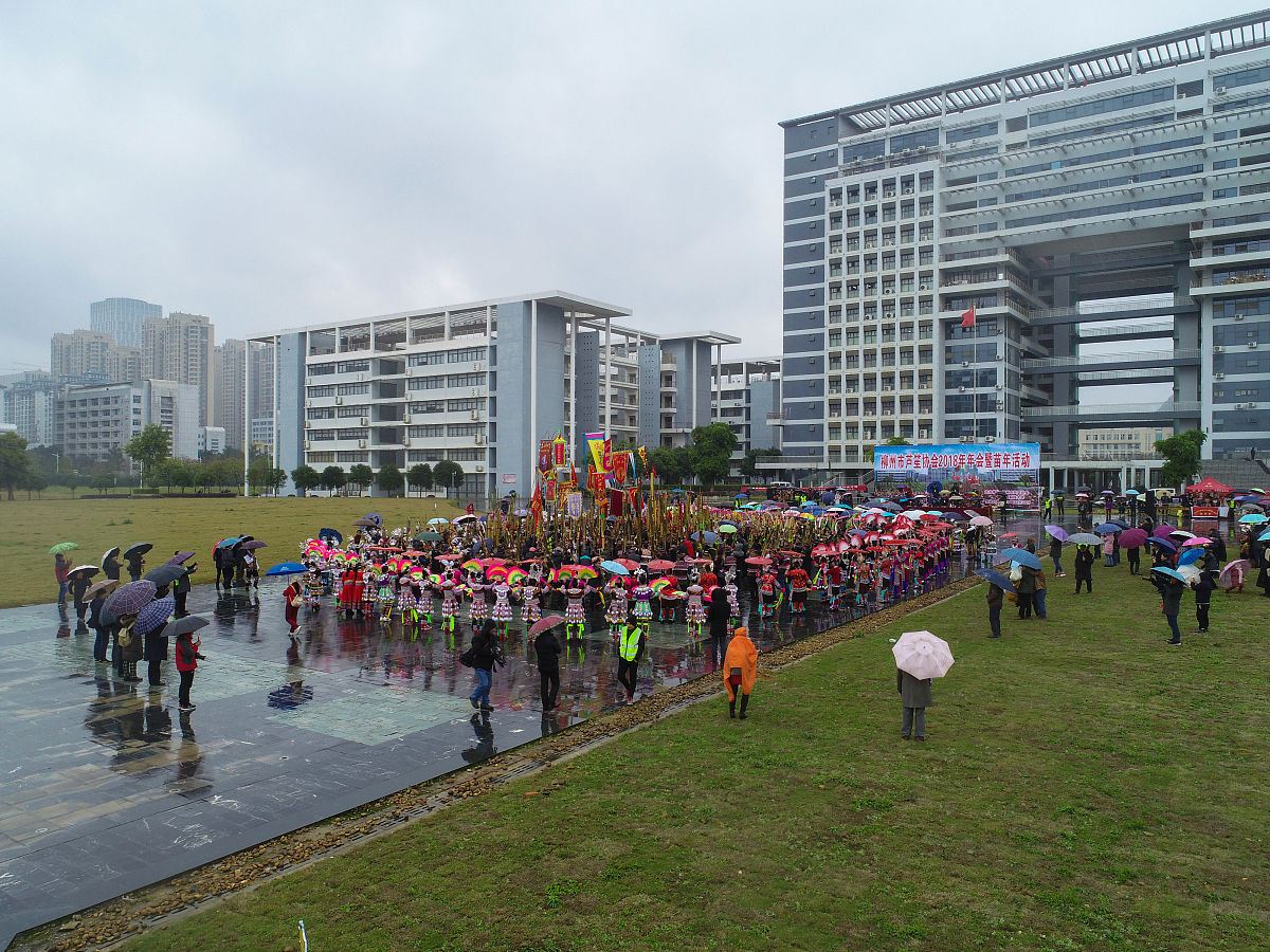 广西科技大学经济学专业优势怎么样发展前景好不好呢