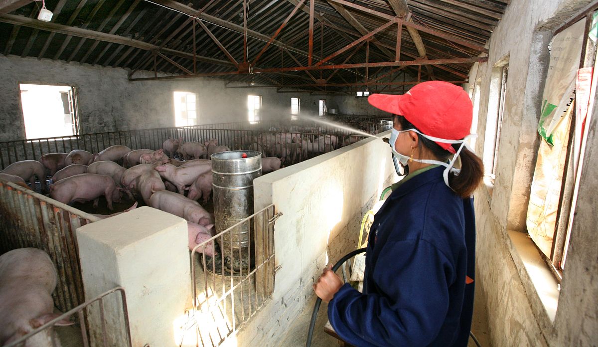 东营职业学院畜牧兽医专业好就业吗