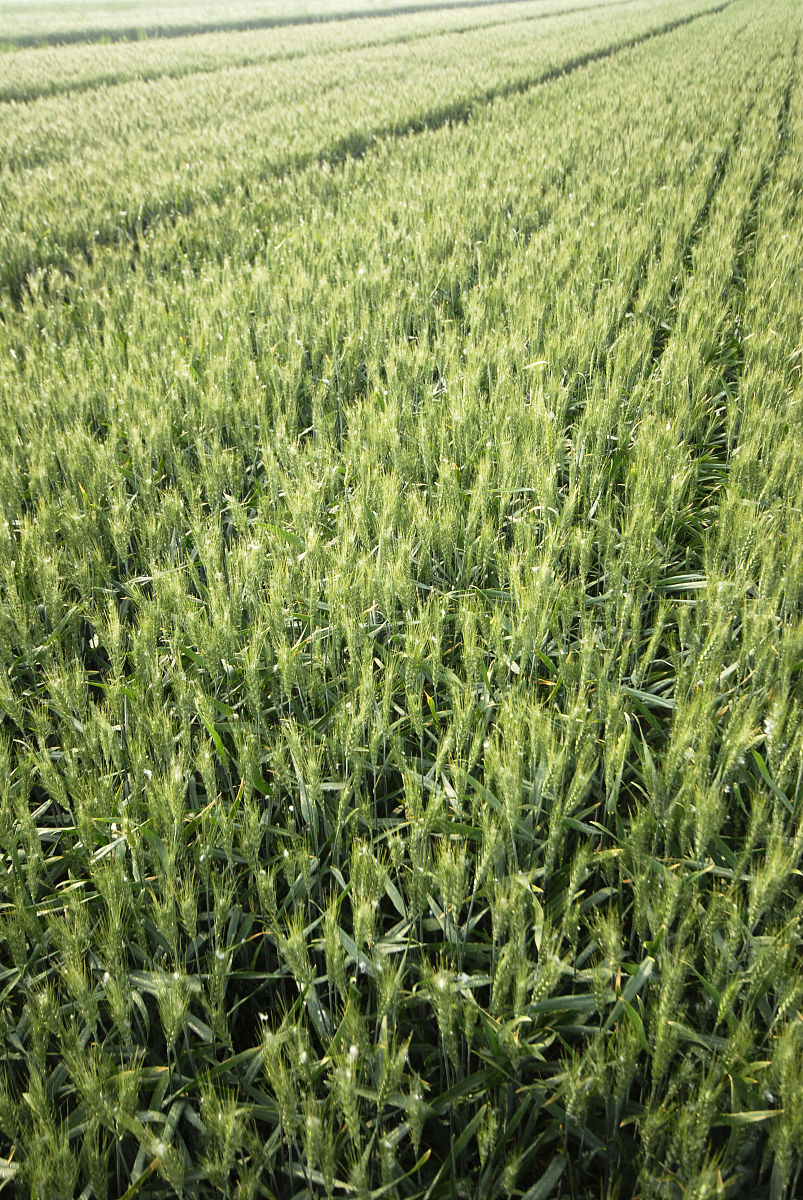 重庆农业机械化学校给排水工程建设和运行情况