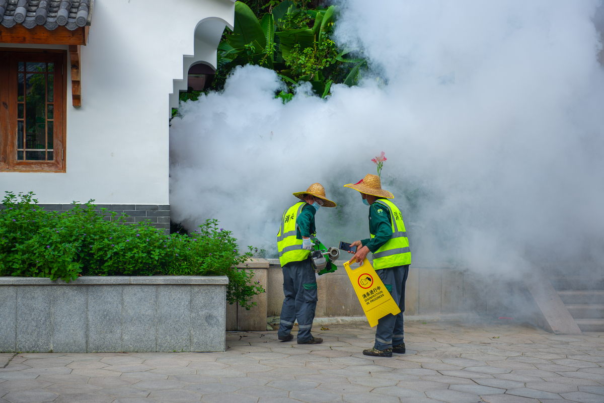 对街道的道路积尘提出治理建议