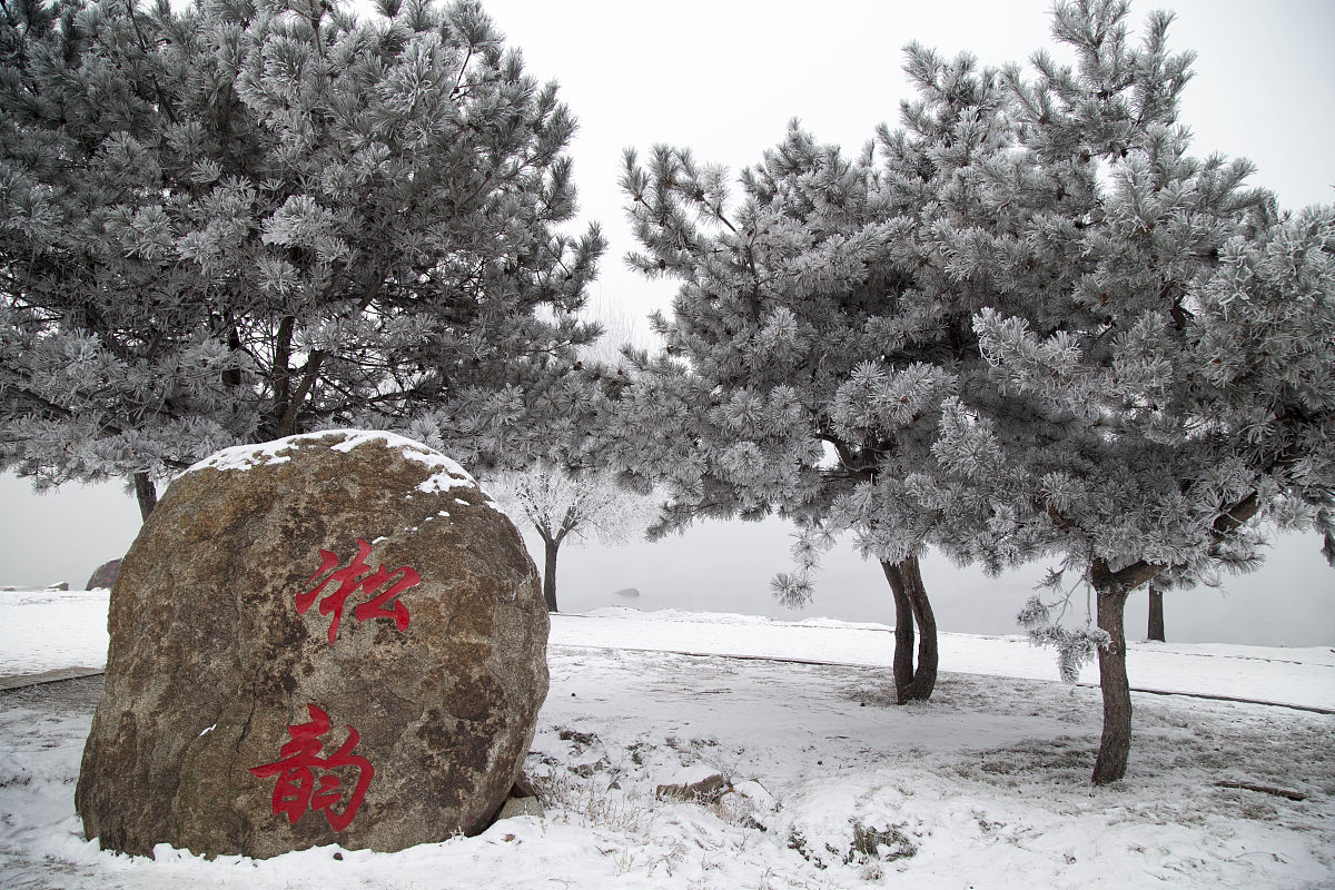 吉林为什么都在劝不要学英语专业 就业前景怎么样
