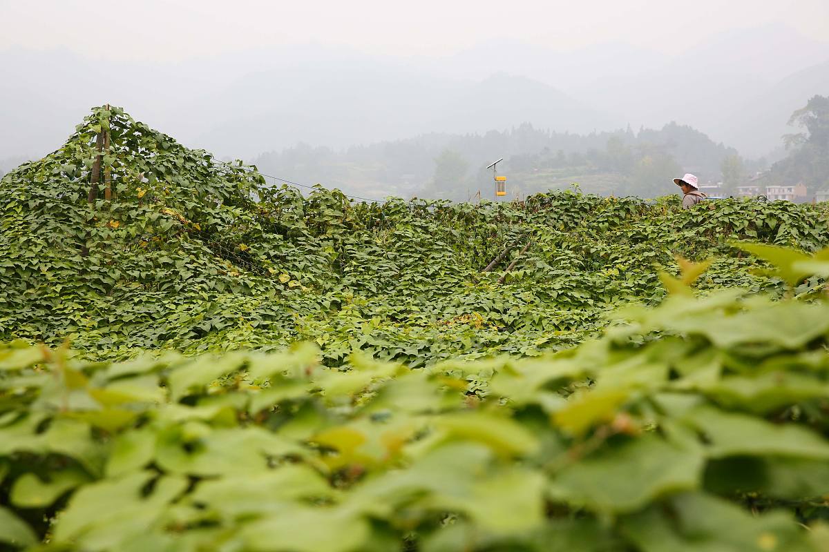 贵州省专科学校学习冶金技术专业就业前景分析