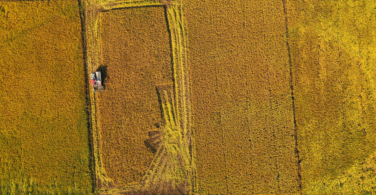 红河中专学校农机驾驶专业概况