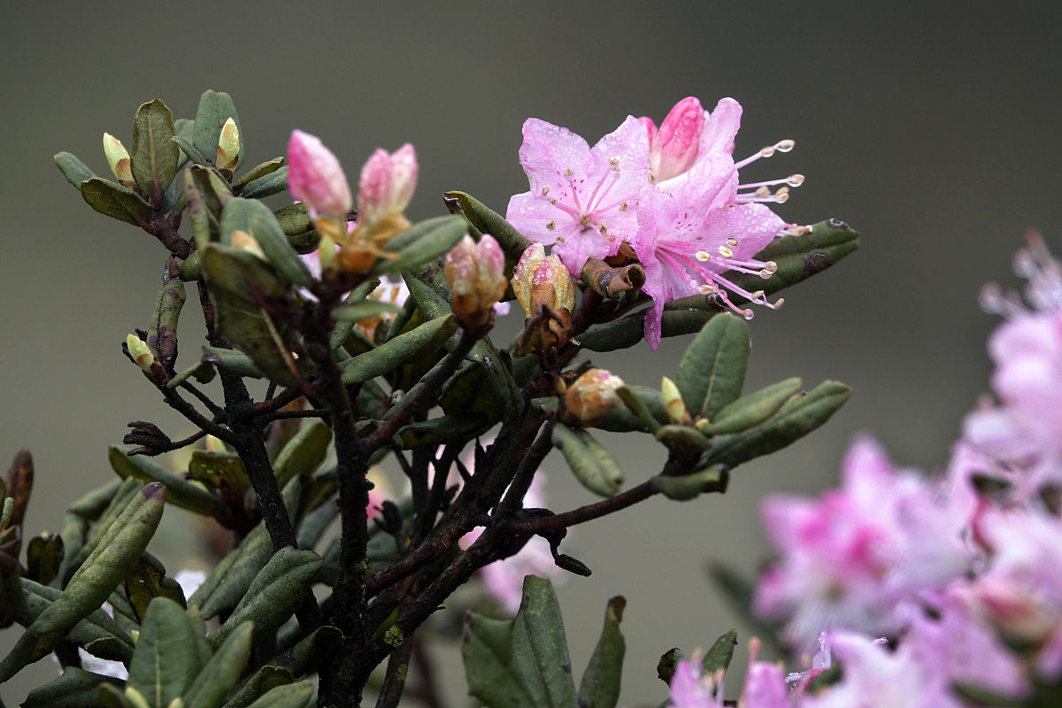 六盘水铁路学校就业前景：哪所学校比较好？