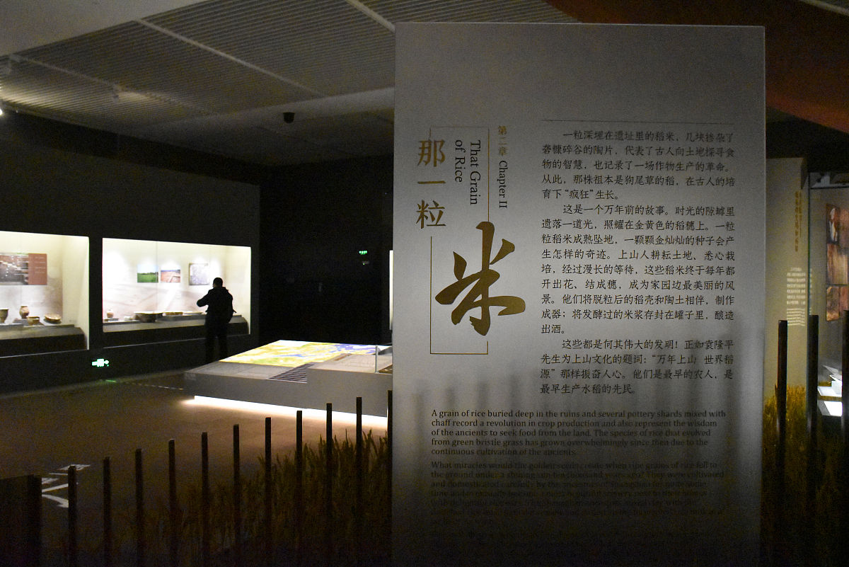海南博物馆观后感：对人生观、世界观和价值观的启迪