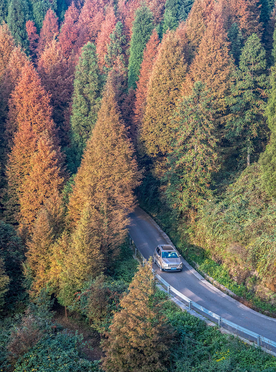 重庆比较好的幼师学校哪家好用