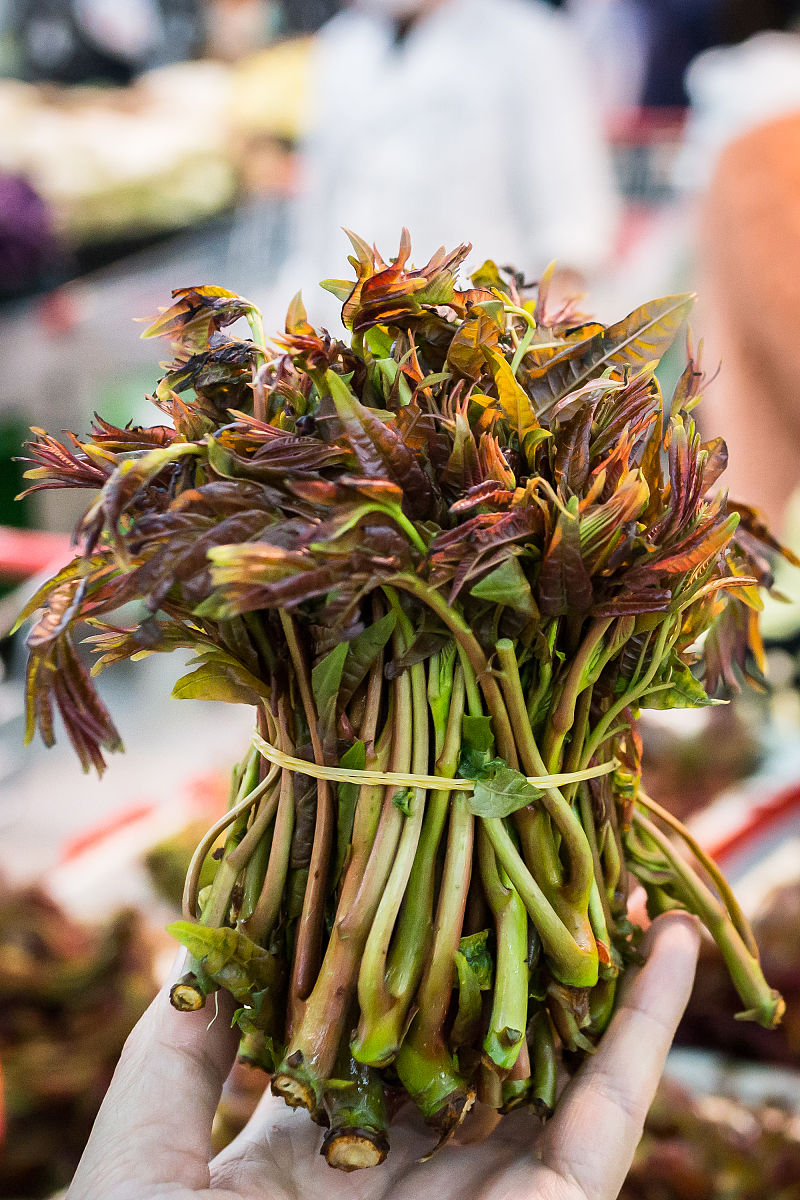 腌香椿的做法_＃春食野菜香＃腌香椿