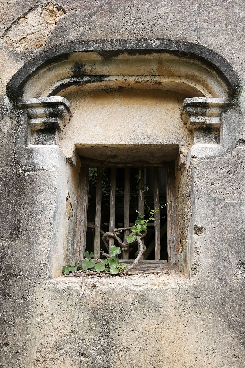 新纪元苍南分校地址在哪里