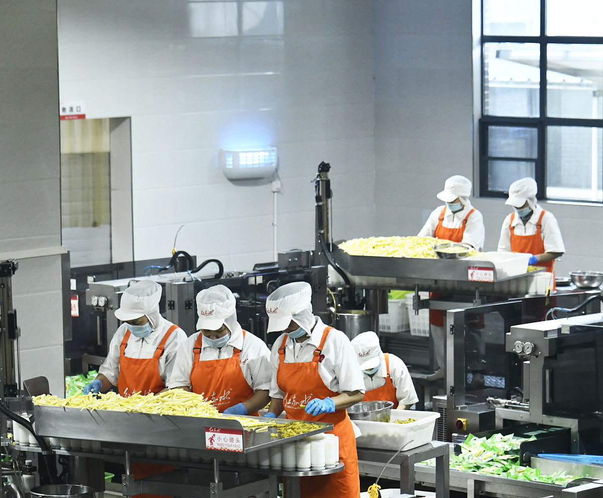 遵义职业技术学院食品智能加工技术专业可以选择哪些就业方向