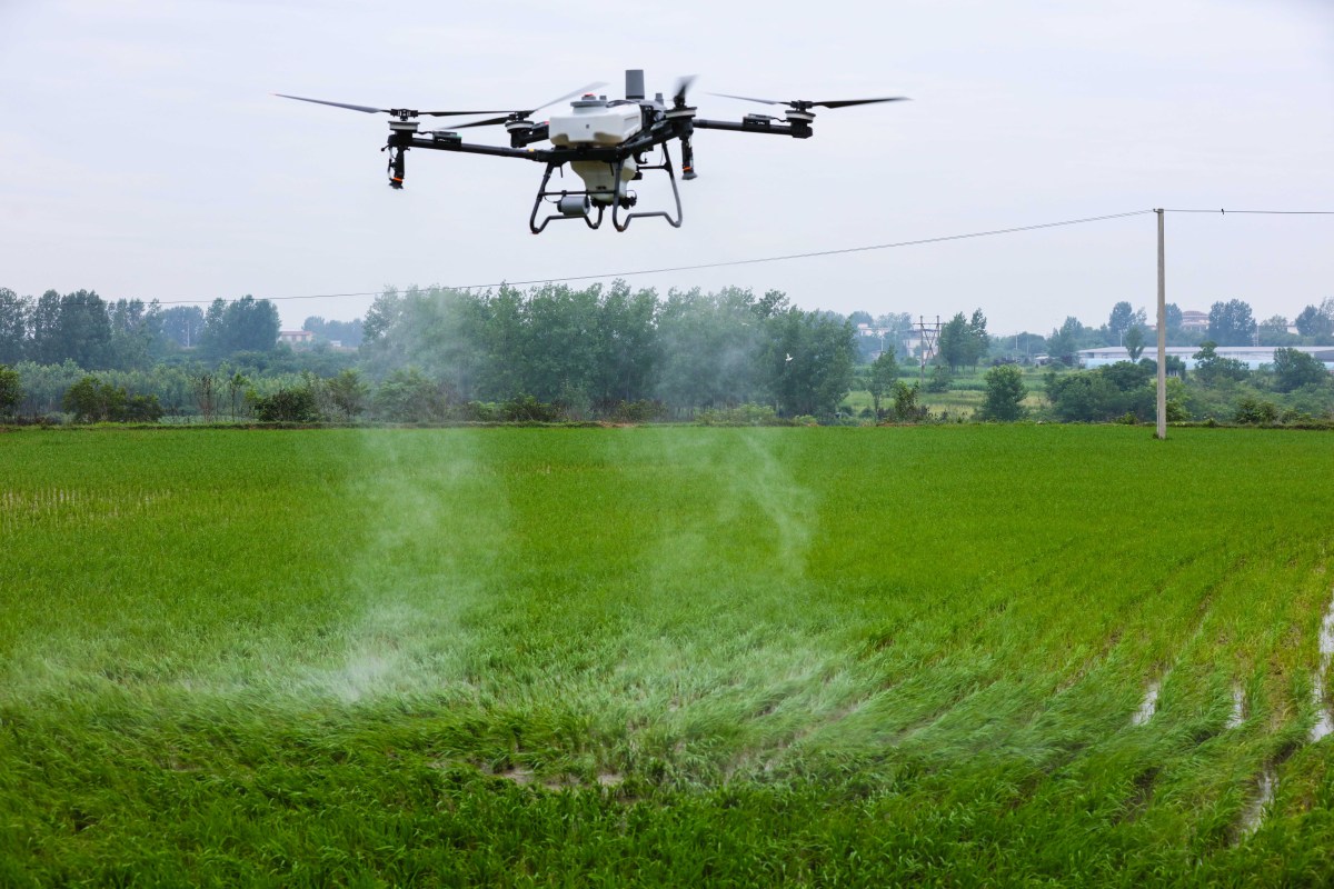 帮我写一下病虫害检测方面的政策背景政策背景最好是2021至2023年的