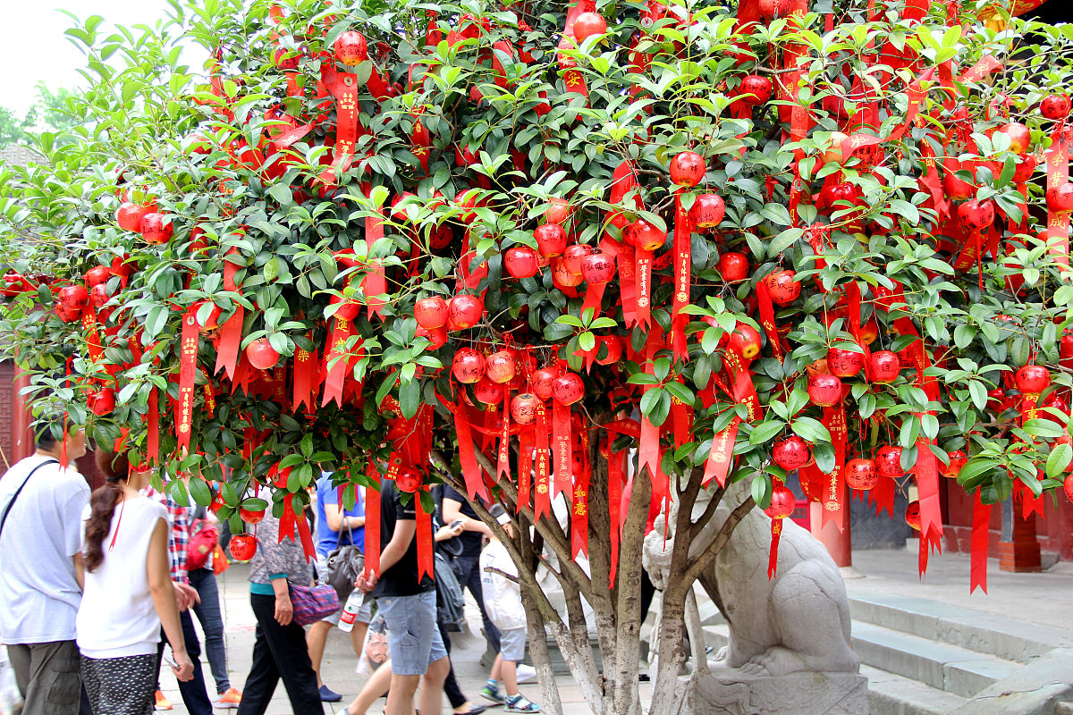 高考祝福语：用诗词寄语，祝你金榜题名