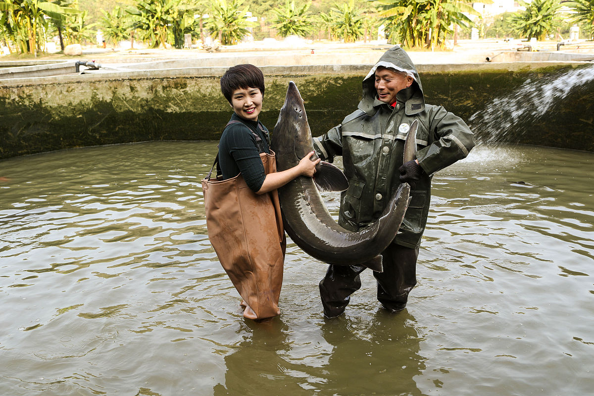 湖北生物科技职业学院水产养殖技术专业怎么样