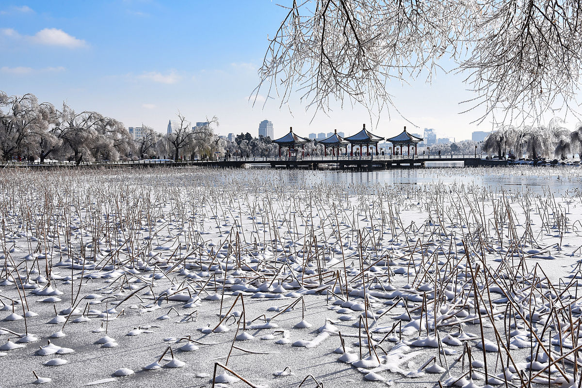 2020年11月20日,一场冻雨加大雪之后,长春整个城市变成水晶世界,南湖