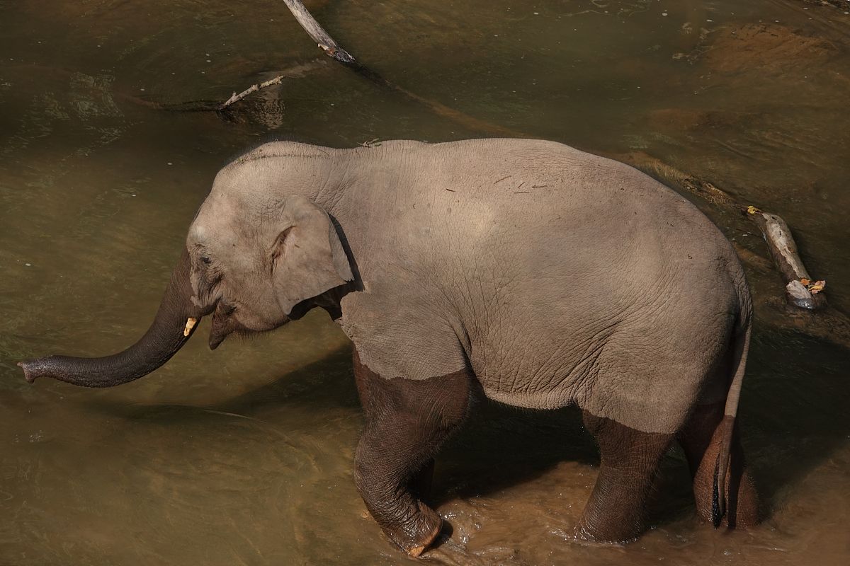 西双版纳州项目事前绩效评估管理暂行办法