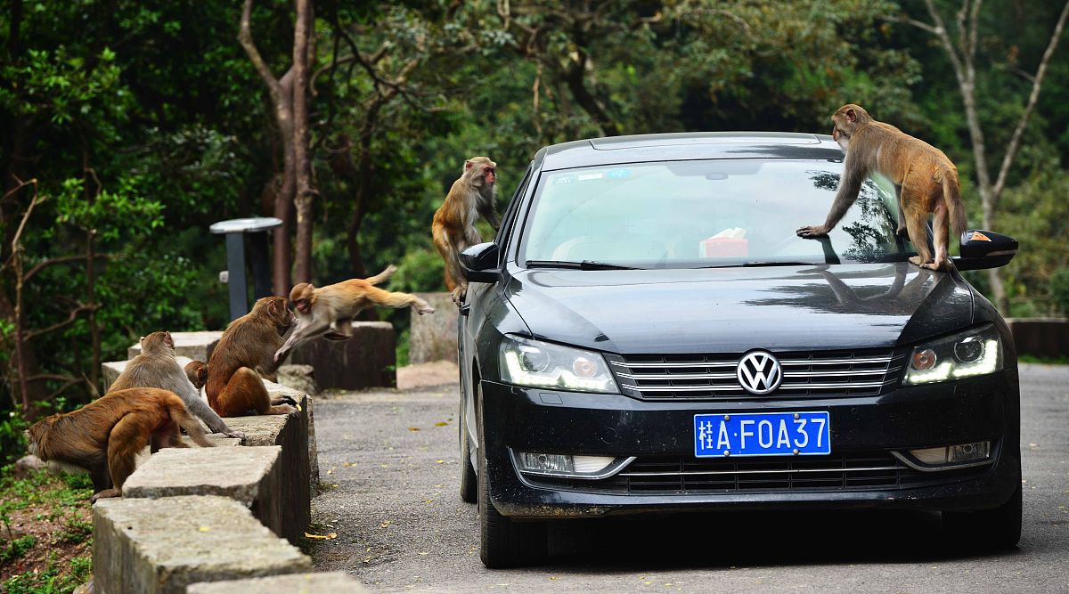 贵港旅游学校2022年招生简章好不好