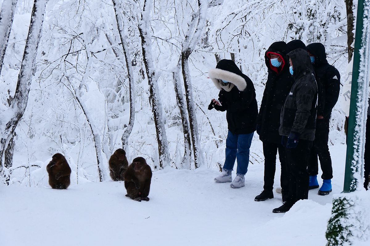 乐山市旅游学校招生要求