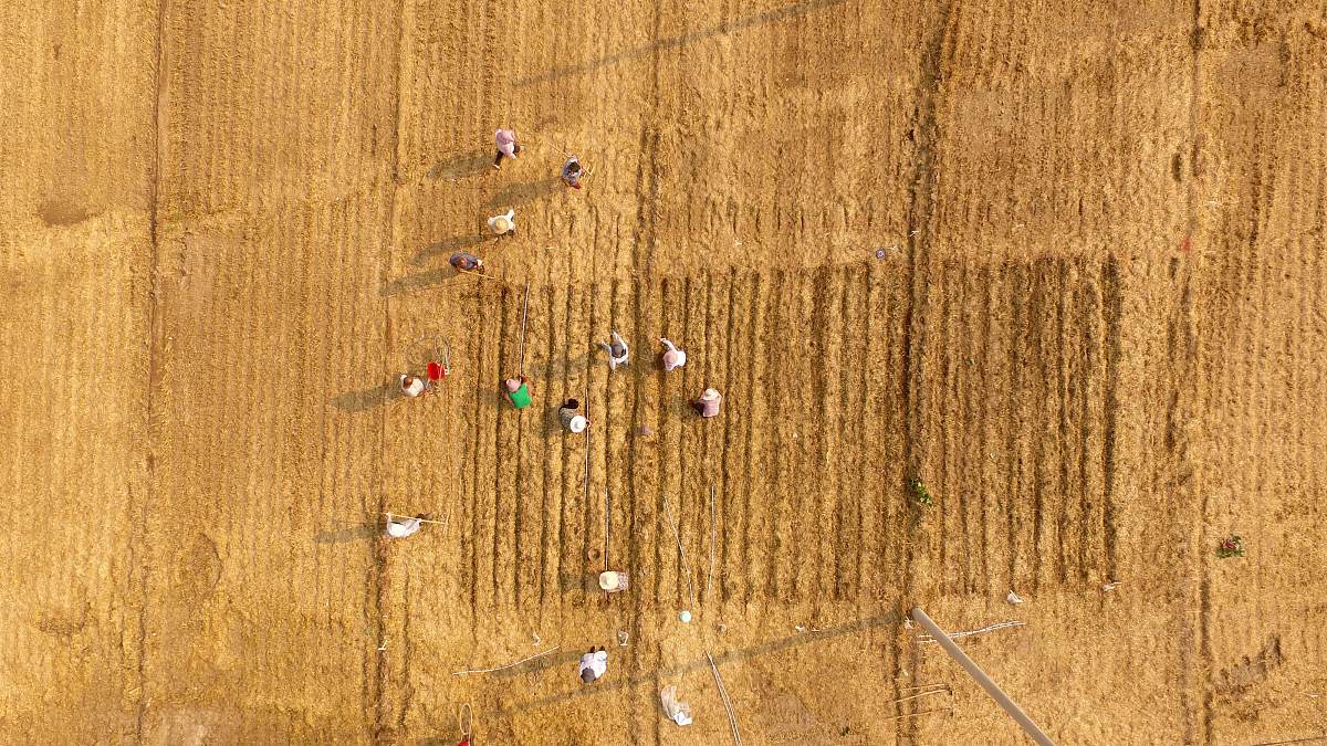 聊城凤凰职业学校2019年招生专业一览 - 选择你喜欢的职业方向