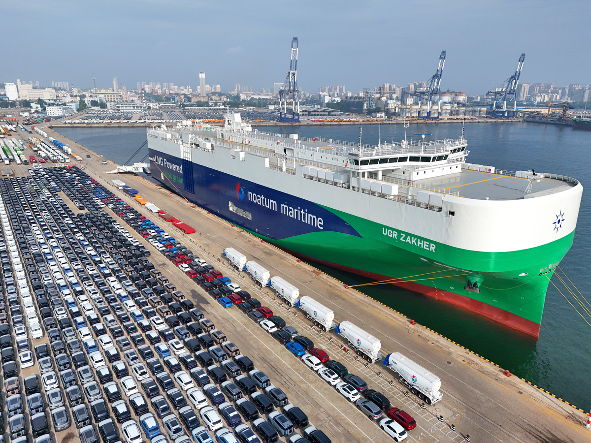 蛇口订舱船公司哪家强？深圳航运集团规模大服务优