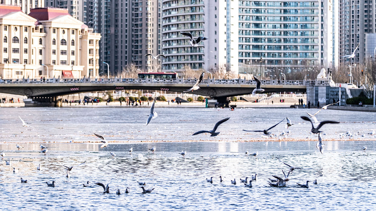 大石桥媒体曝光求助热线是多少？请用媒体的口吻生成一篇文章。