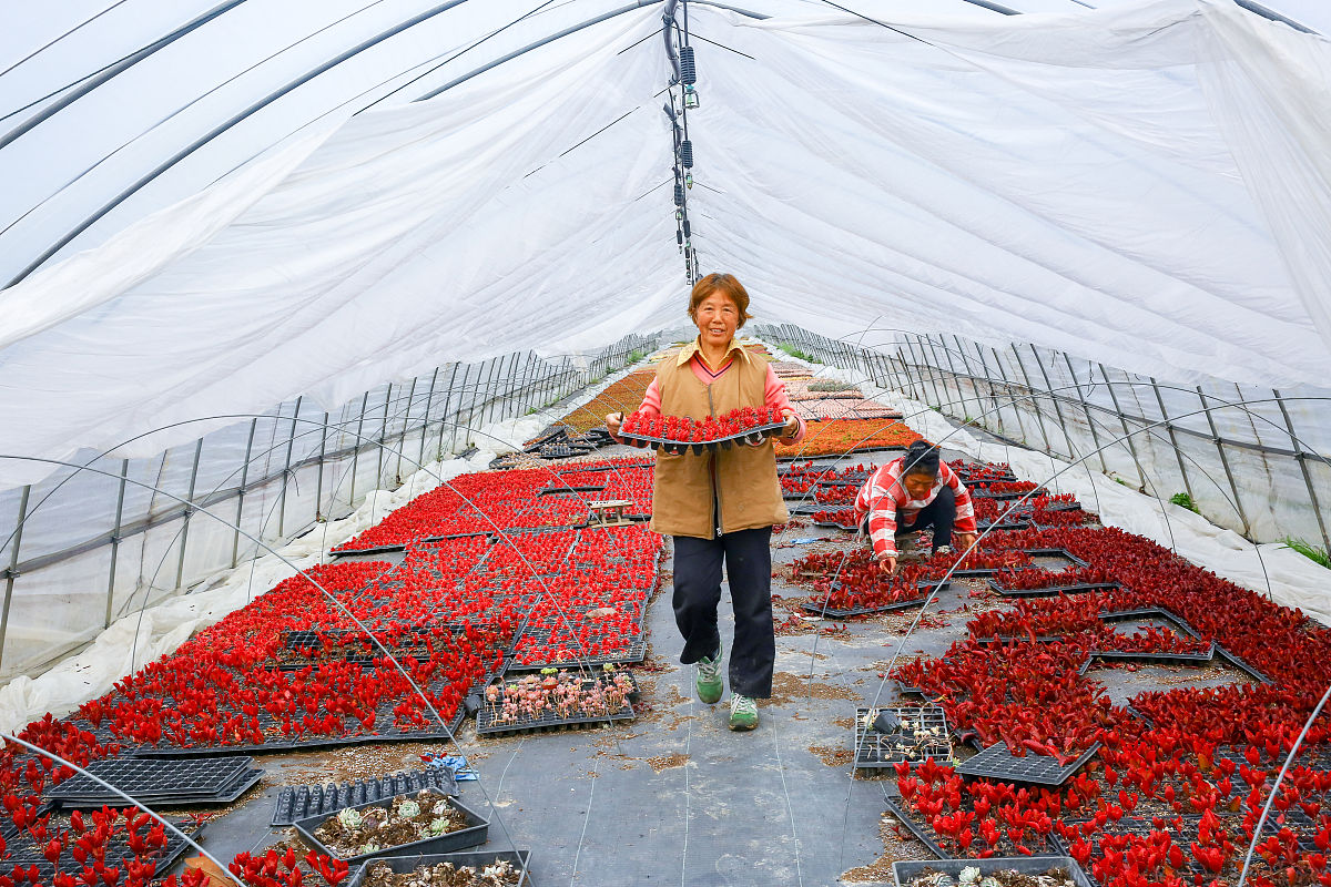 江苏2022年好点的幼师学校-怎么样