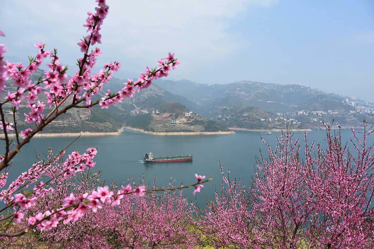 重庆三峡卫生学校护理有3+2五年制大专吗