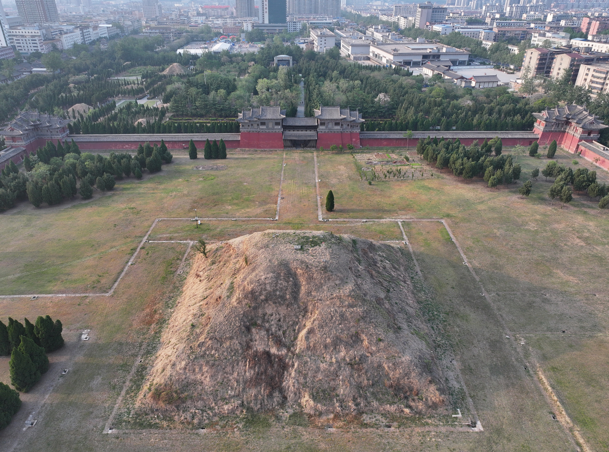 凤阳明中都皇故城国家考古遗址公园植物分布情况