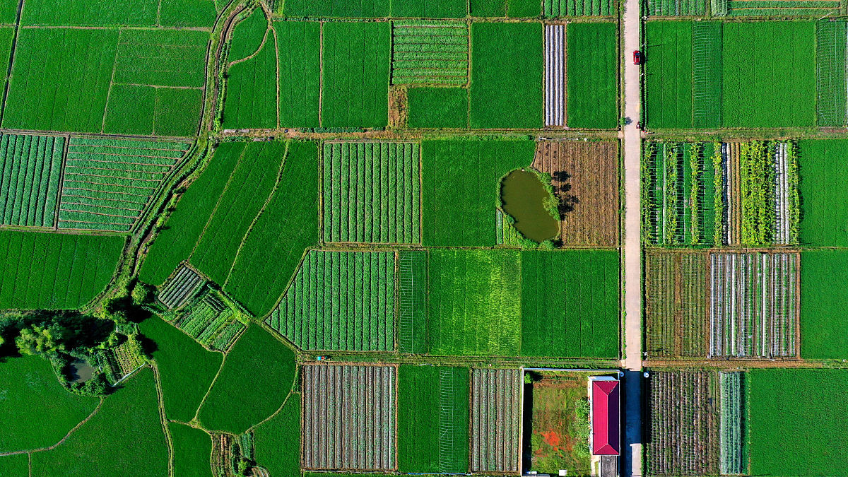 针对灌区生态健康写30个字说明