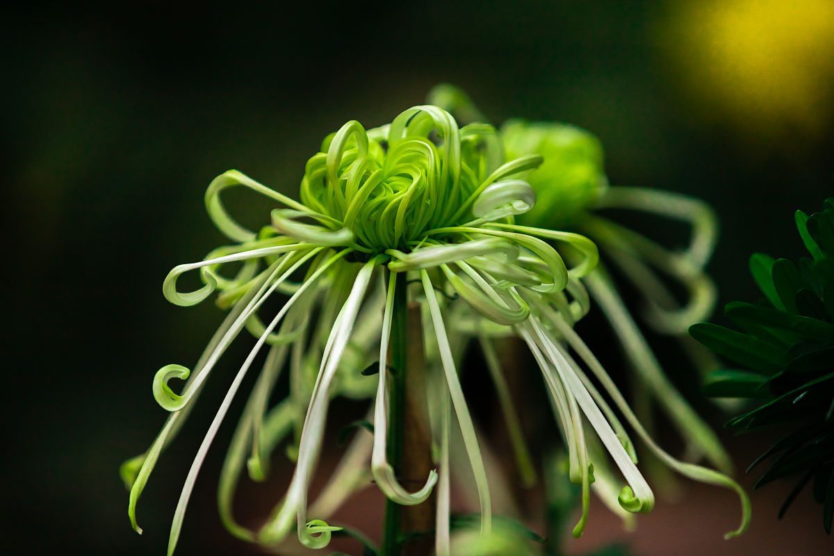 2021年贵州省师范大学日语招生