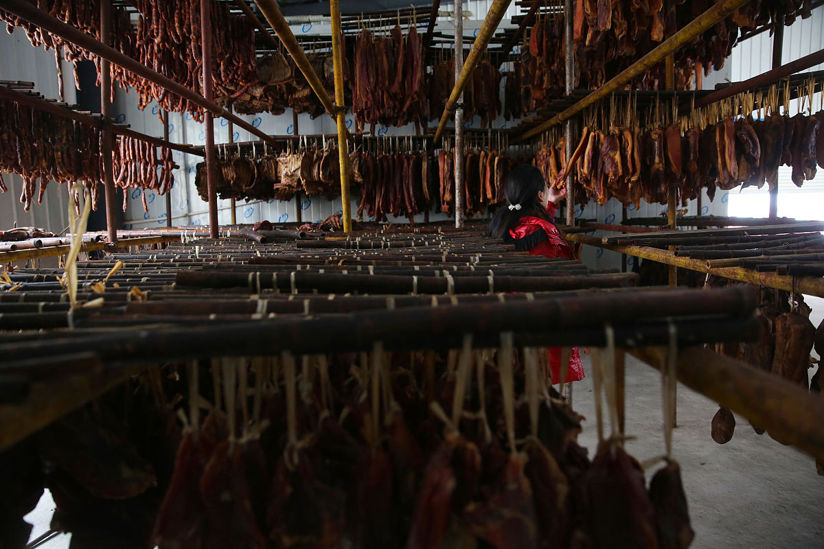 云南畜牧养殖学校2019年五年制填报志愿系统